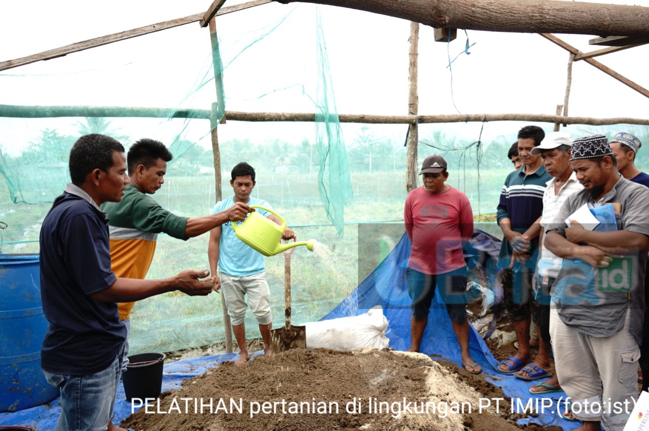 Kembangkan SDM Bidang Pertanian, IMIP Beri Pelatihan Pertanian ...